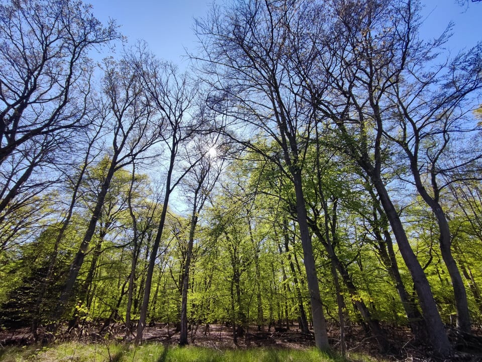 Land view from property