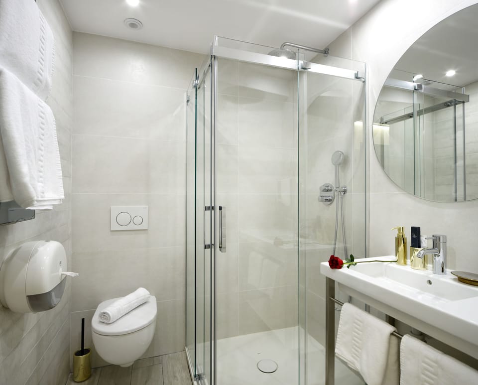 Double Room (Oro Viejo) | Bathroom | Shower, free toiletries, hair dryer, towels