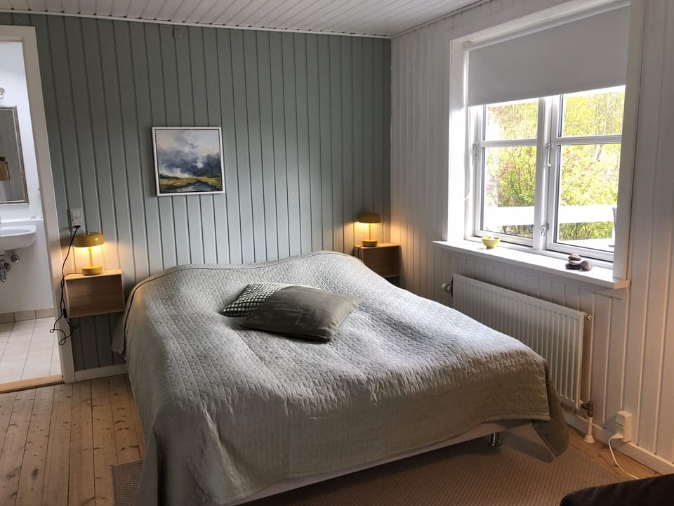 Basic Double Room, Terrace | Desk, iron/ironing board (on request), WiFi (free), bed sheets