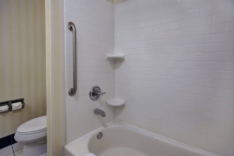 Combined shower/tub, free toiletries, hair dryer, towels