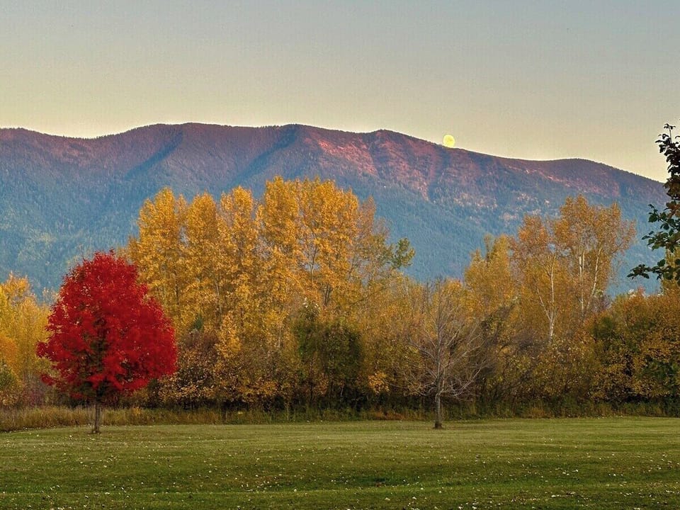 Beautiful Autumn colors in Columbia Falls