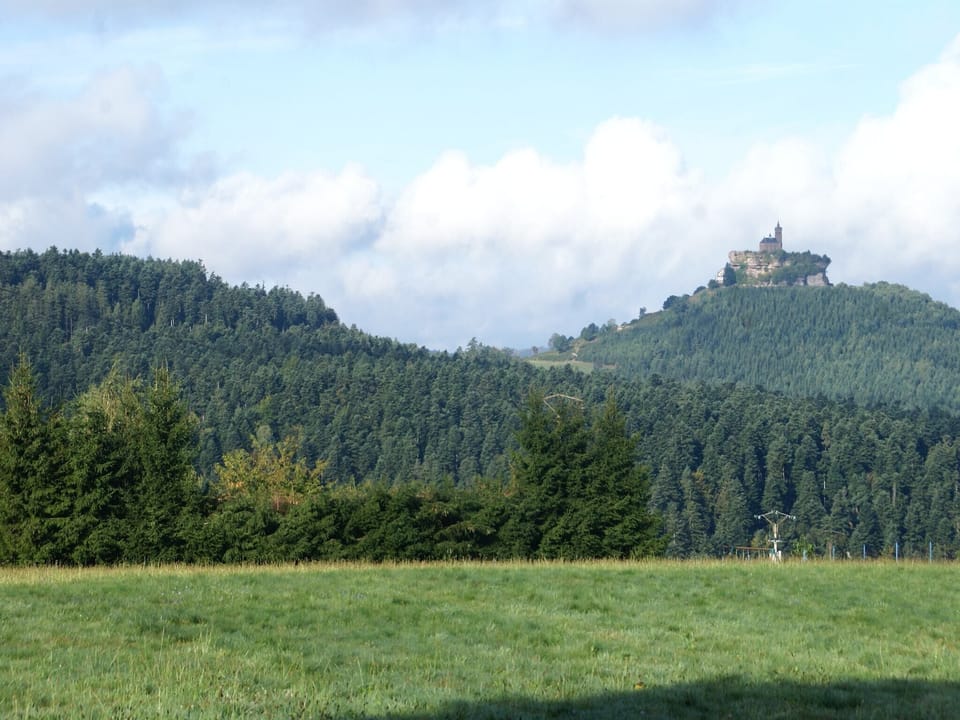 Immediate Surroundings [summer] (<1 km)