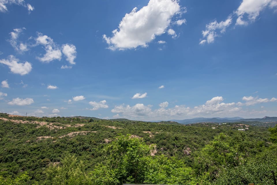 Executive Suite, Kitchen | Mountain view