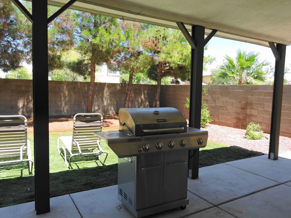 Propane Grill