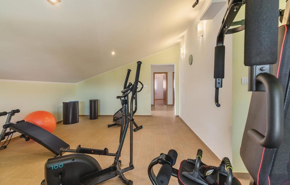 fitness