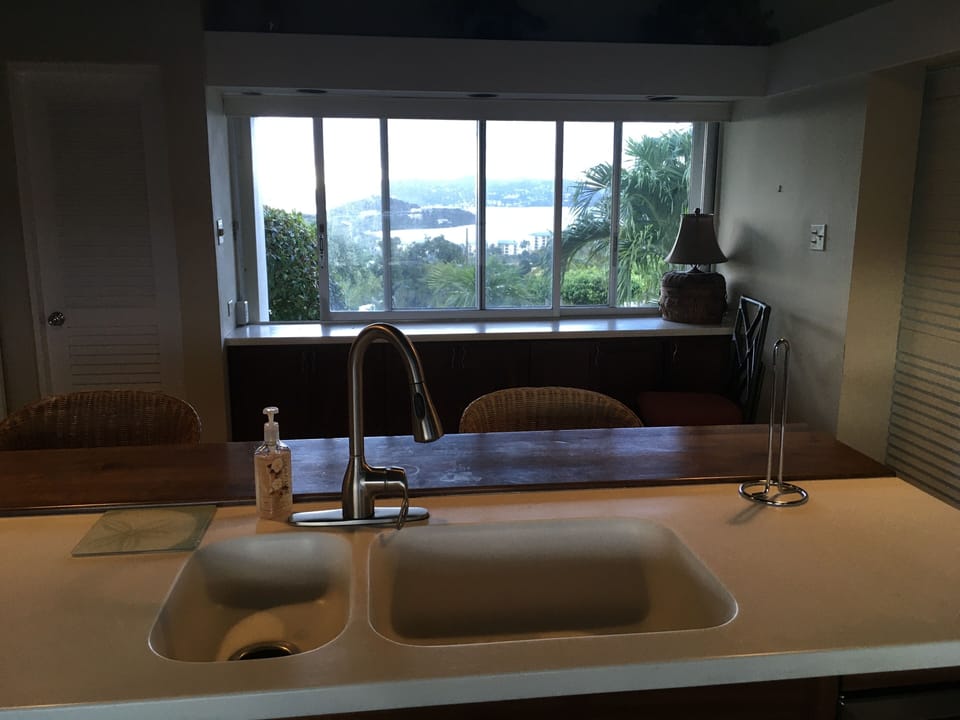 Kitchen with views of St John 