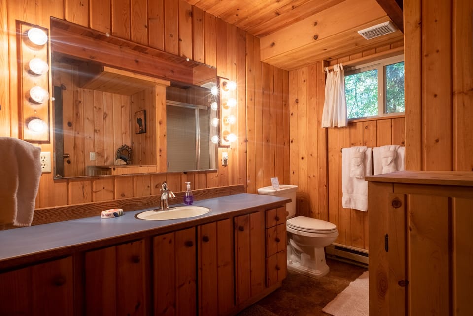 Main floor bathroom - main floor bathroom with Sink, toilet and shower.