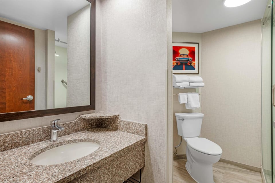 Combined shower/tub, free toiletries, hair dryer, towels