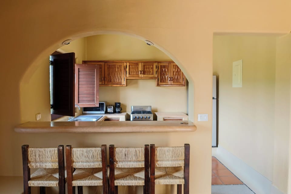 Deluxe Studio Suite | Private kitchen