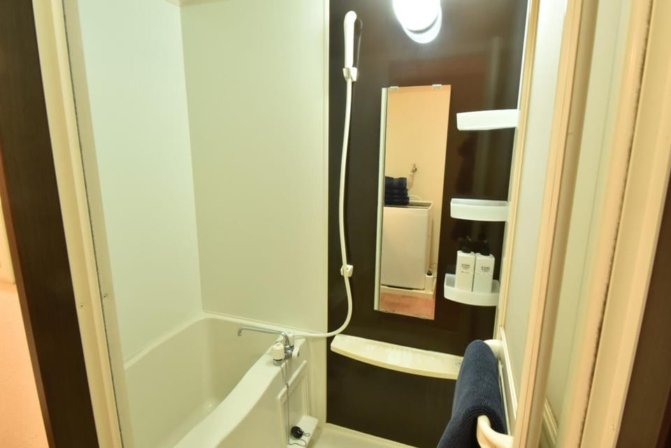 Separate tub and shower, free toiletries, hair dryer, bidet