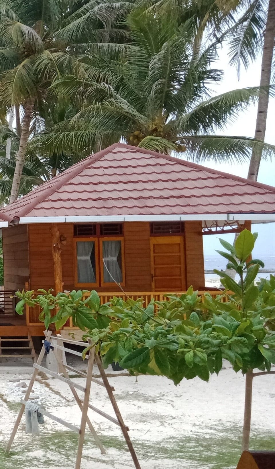 Losmen Anugrah Bed and Breakfast in West Sumatra, Indonesia