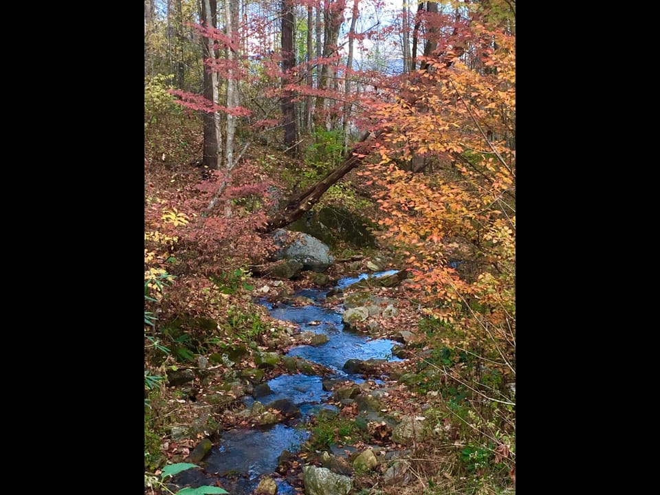 Fall is gorgeous🧡