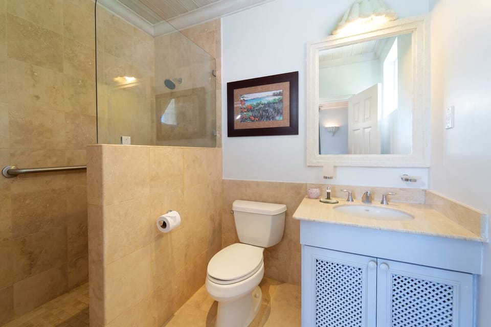 Beacon Hill 305-The Penthouse: Bathroom 2