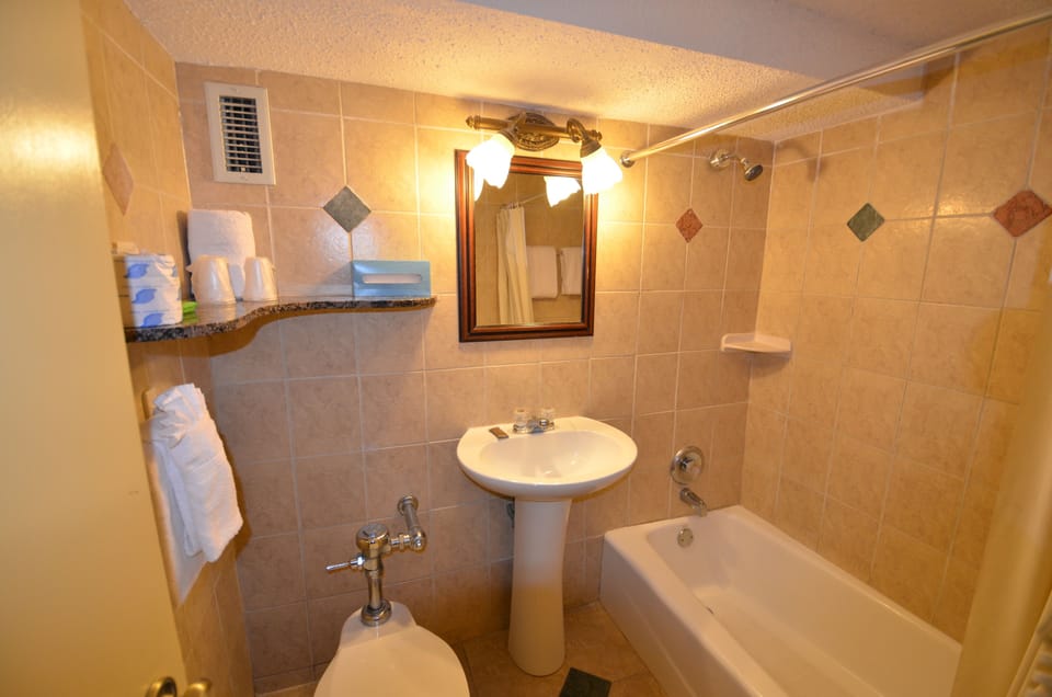 Combined shower/tub, free toiletries, hair dryer, towels