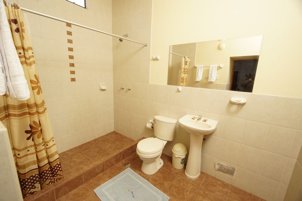 Family Room | Bathroom shower