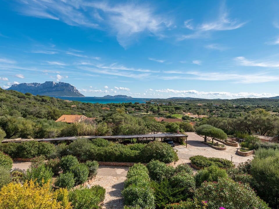 Sky, Natural Landscape, Hill, Landscape, Mountain, Shrub, Highland, Plant Community, Hill Station, Coast