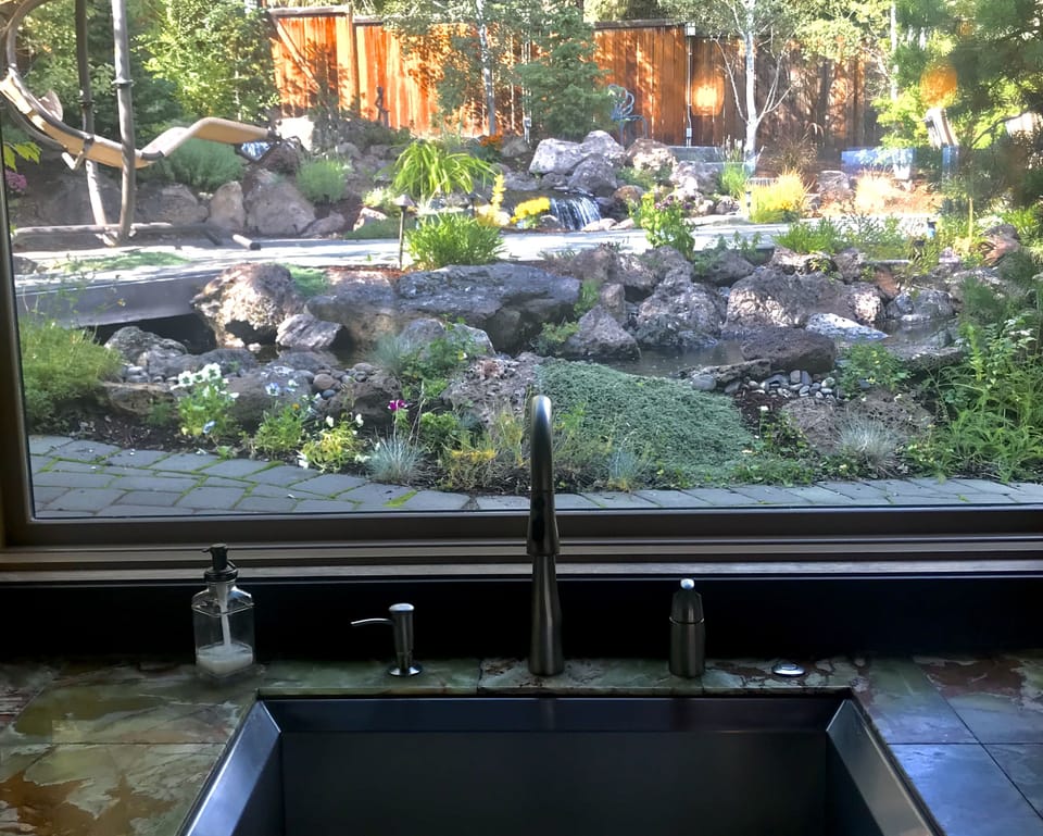 view of backyard from kitchen sink