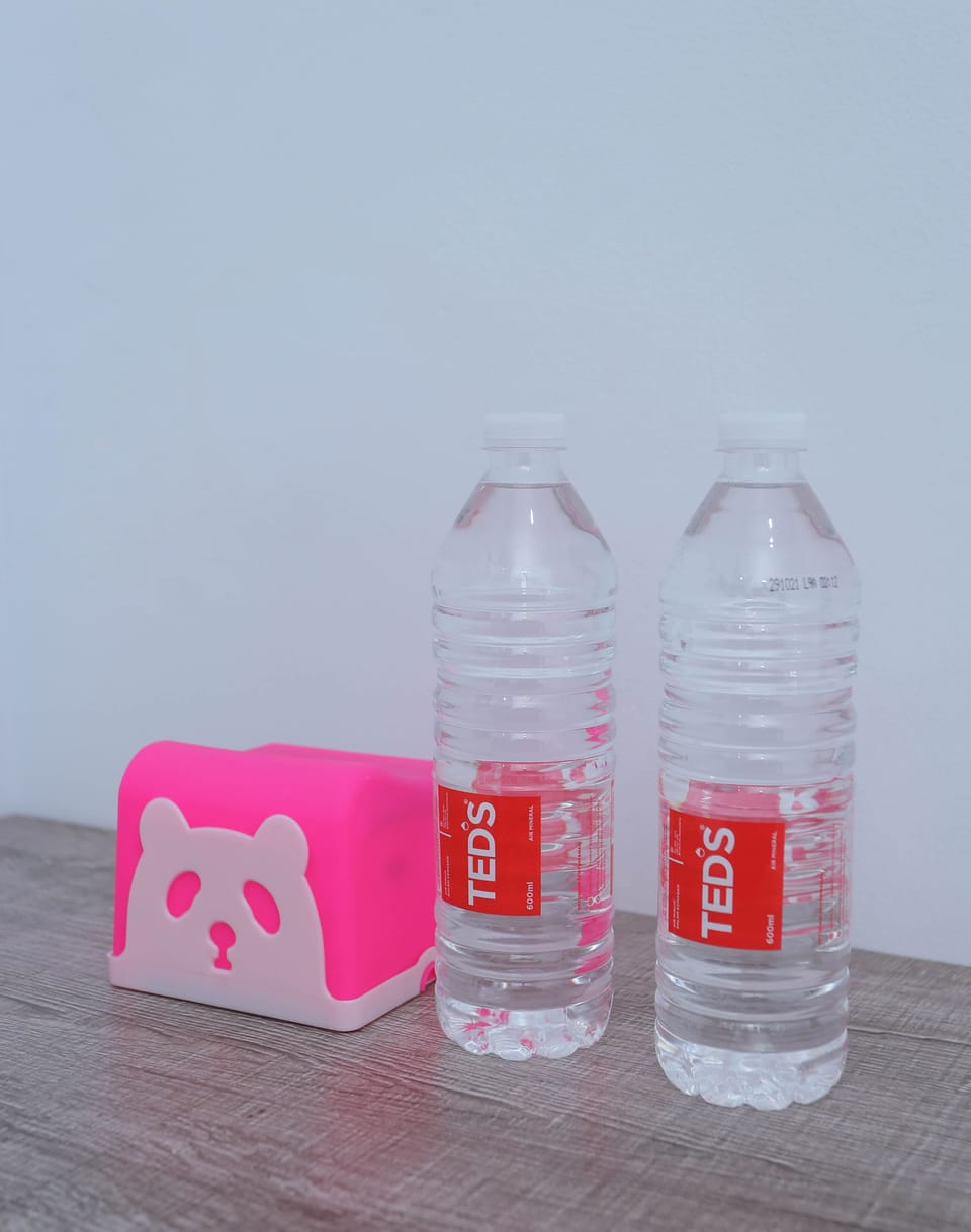 Deluxe Double Room | Room amenity