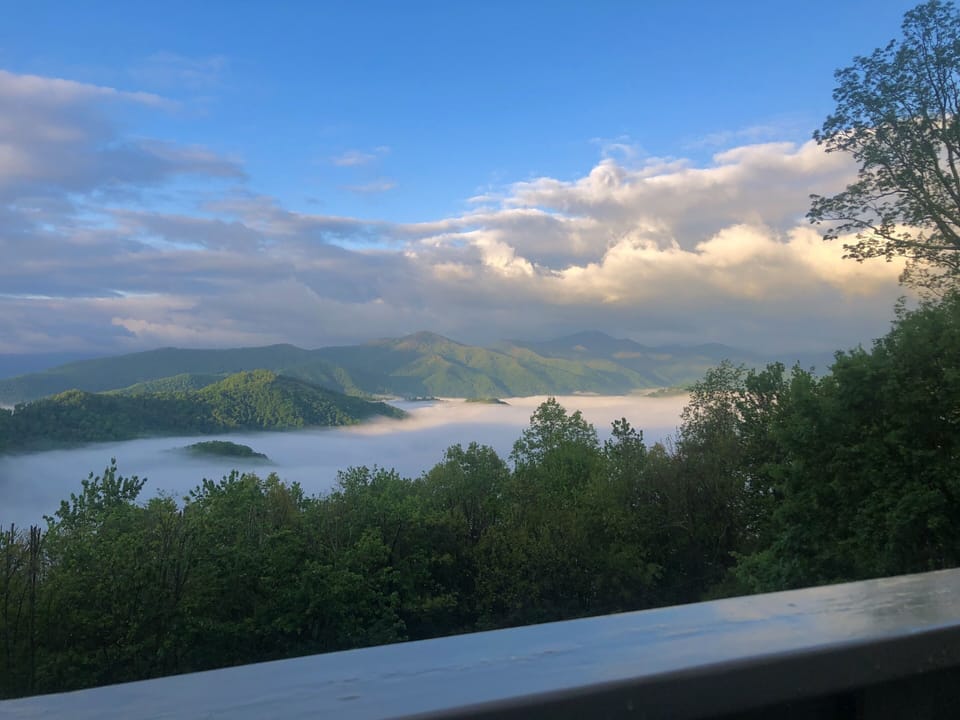 Emerald isles in a sea of fog