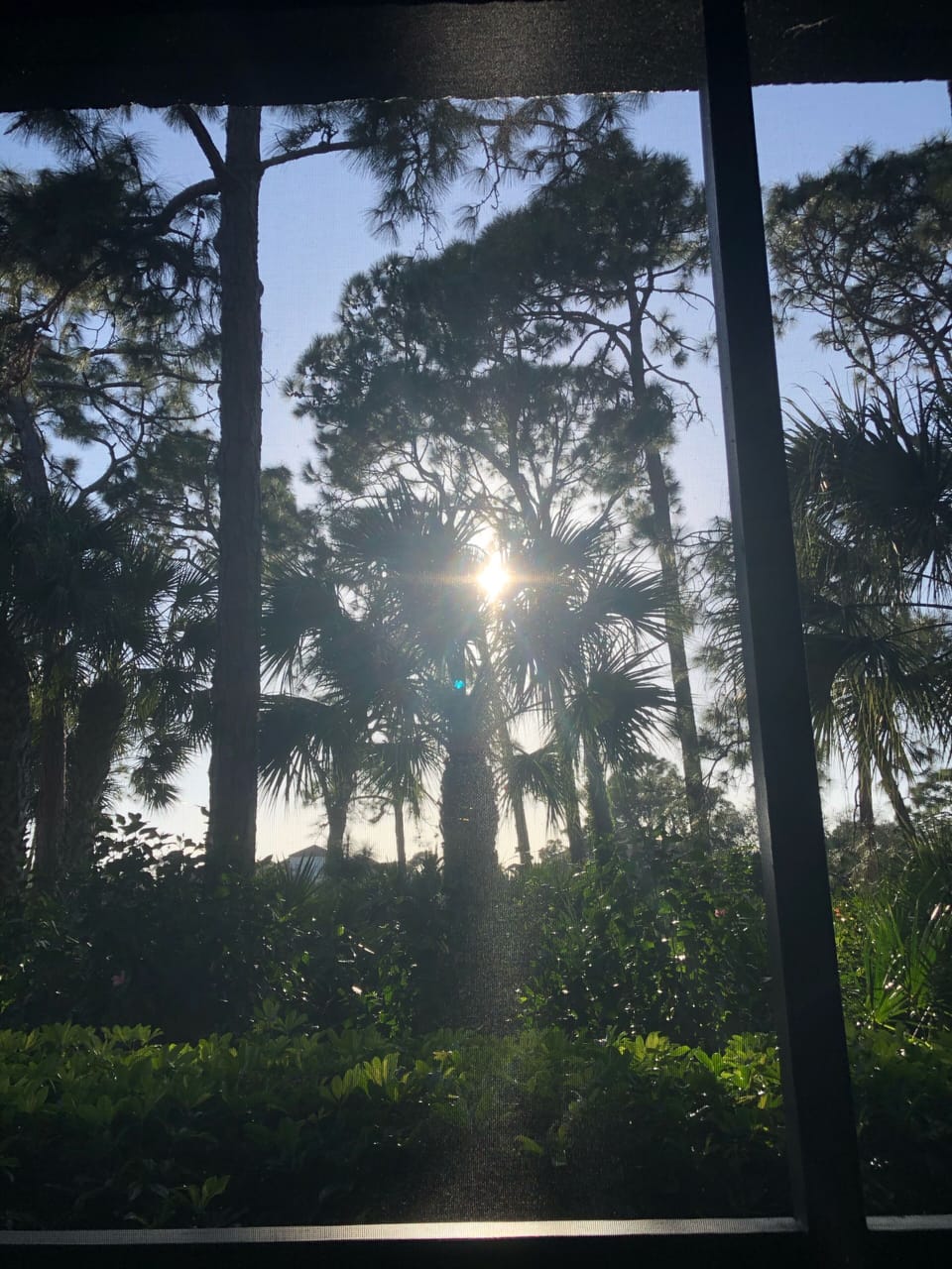 View from the private lanai