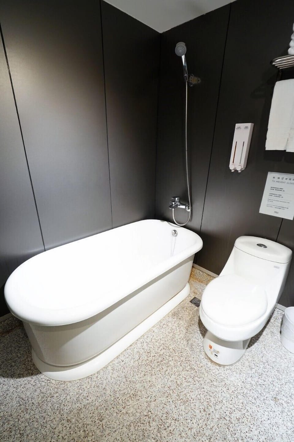 Combined shower/tub, free toiletries, hair dryer, slippers