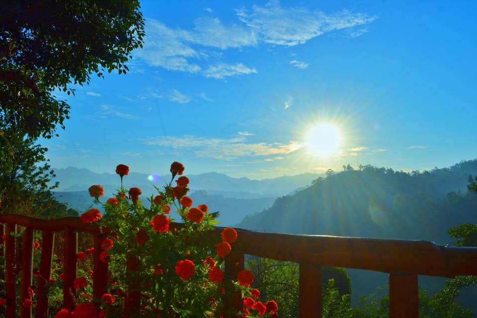 Deluxe Triple Room | Mountain view