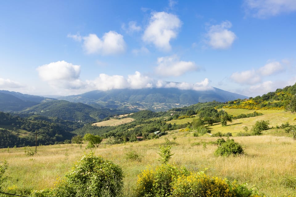 Mountain view