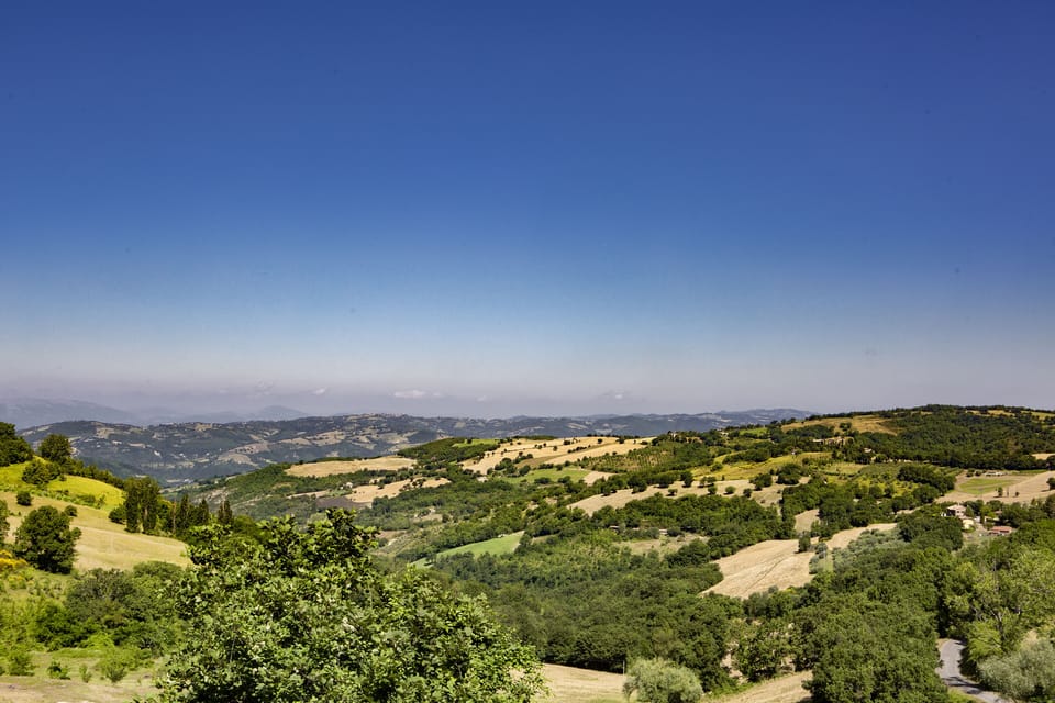 Mountain view