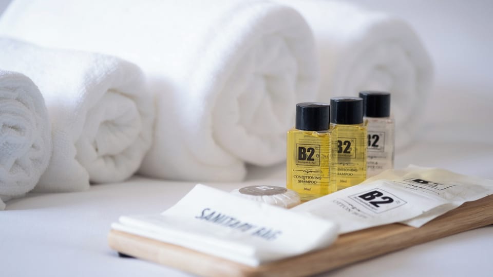 Deluxe Triple Room | Bathroom | Shower, free toiletries, hair dryer, towels
