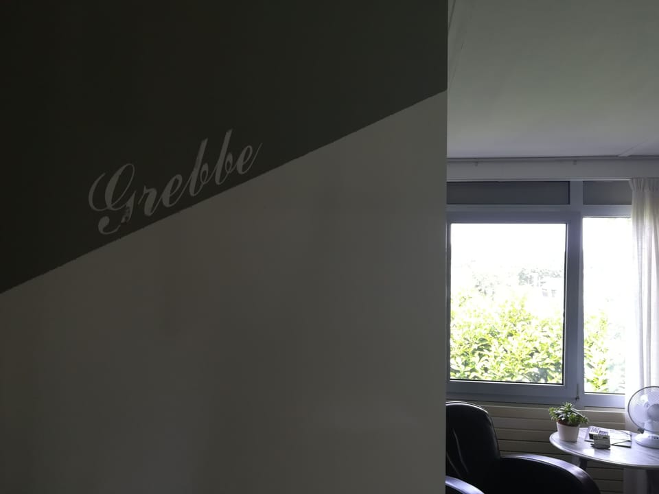 Deluxe Double or Twin Room, Shared Bathroom (Grebbe) | Premium bedding, in-room safe, individually furnished, laptop workspace
