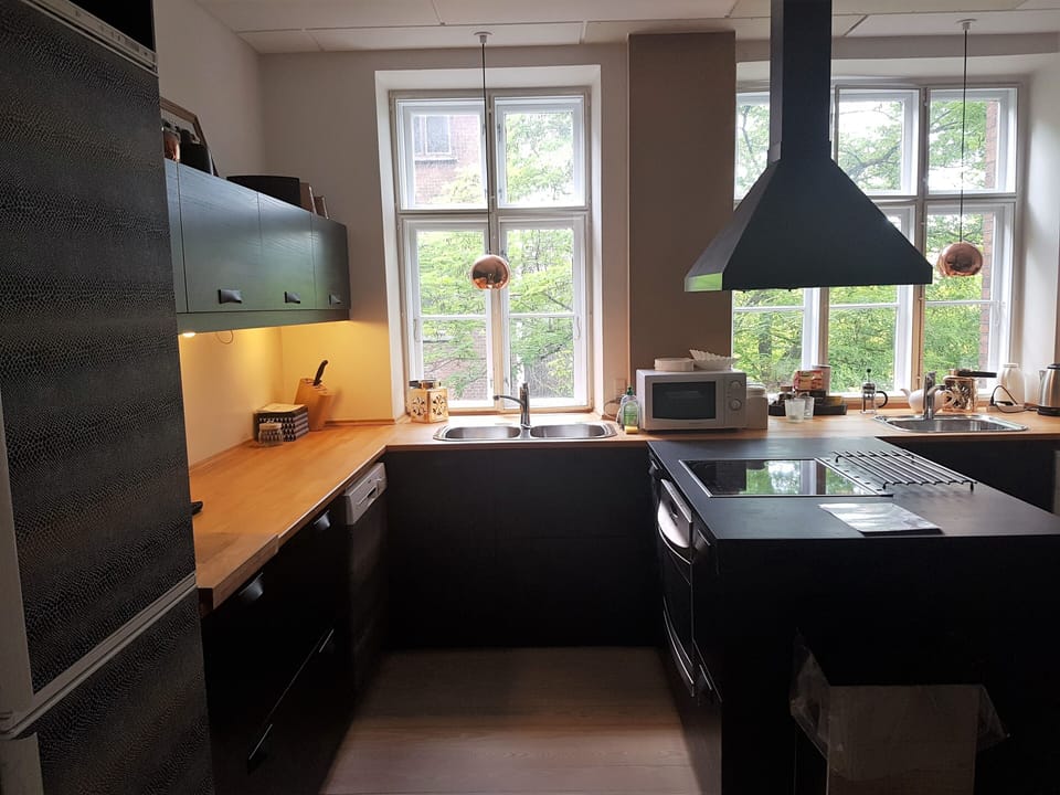 Classic Apartment, 3 Bedrooms, 2 Bathrooms | Private kitchen | Fridge, microwave, oven, stovetop