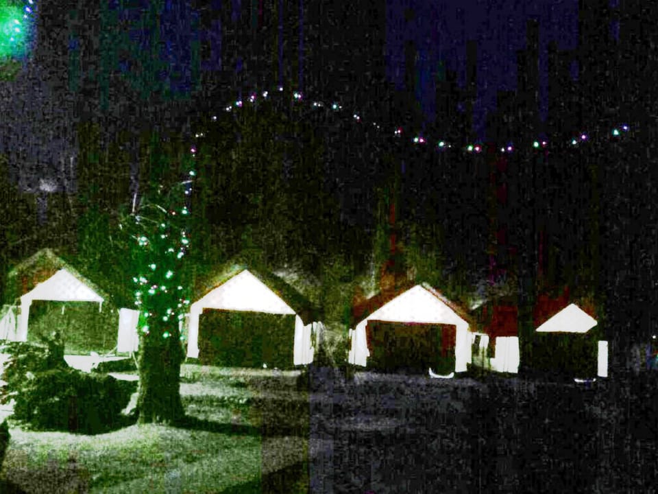 Deluxe Tent | View from room