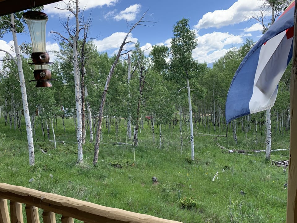 The view from the wrap around deck