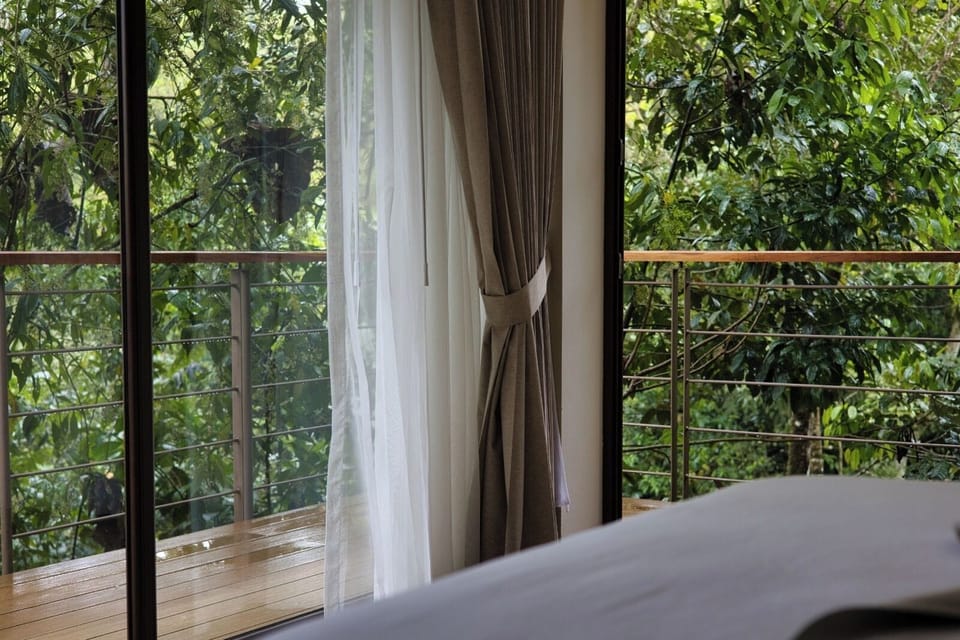 Premium bedding, down comforters, pillowtop beds, individually furnished