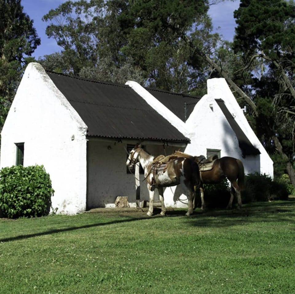 Horseback riding