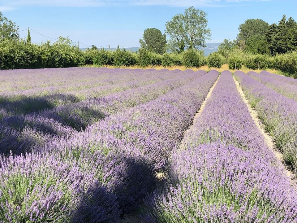 Land view from property