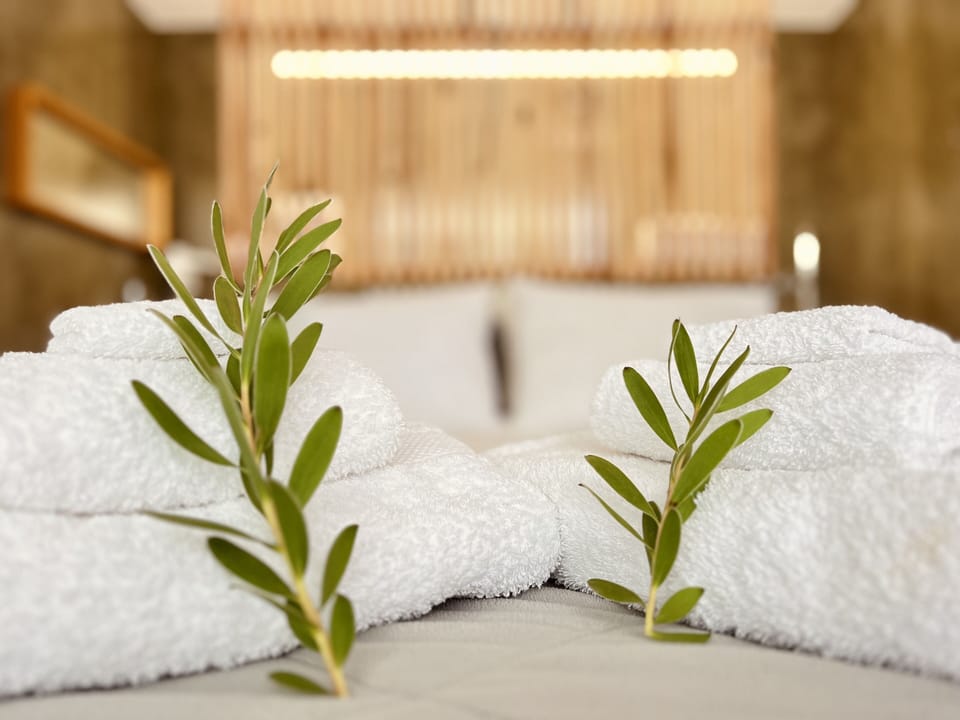 Deluxe Room | Soundproofing, free WiFi, bed sheets