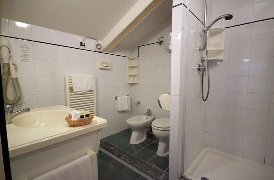 Double Room (attic) | Bathroom | Shower, free toiletries, hair dryer, bidet