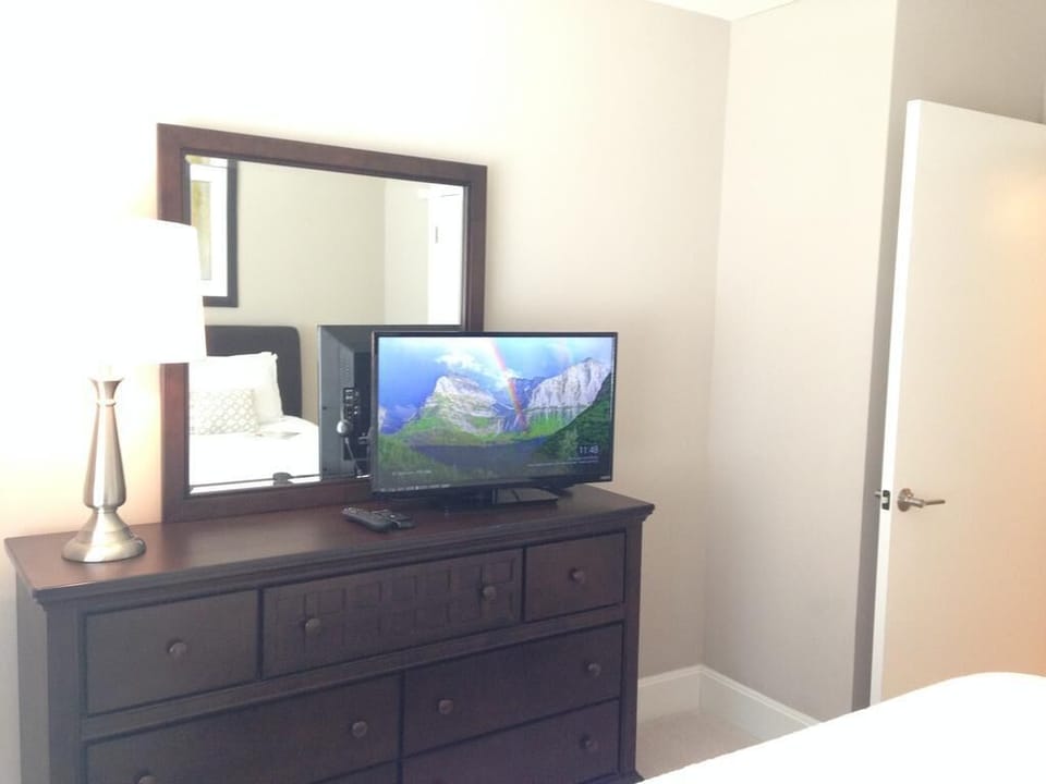 Television