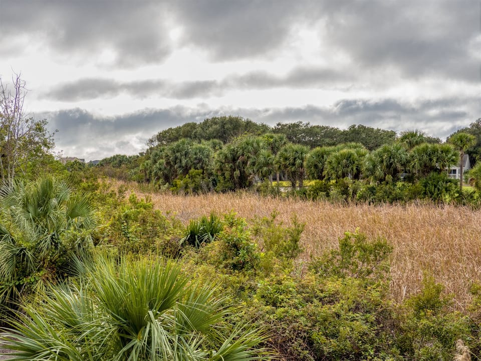 The natural beauty of Seabrook Island