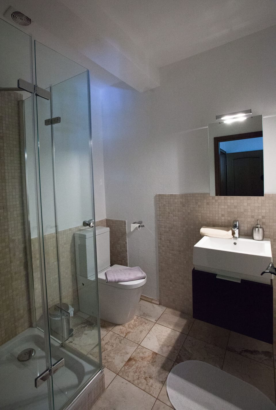 Double Room | Bathroom | Shower, hair dryer, towels, soap