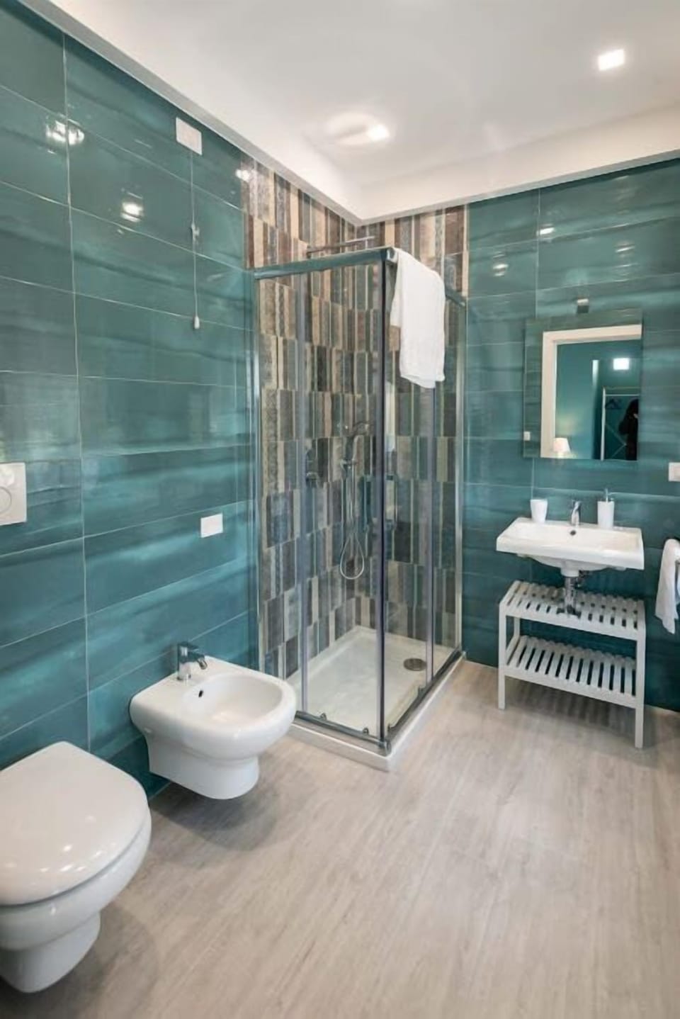 Shower, free toiletries, bidet, towels
