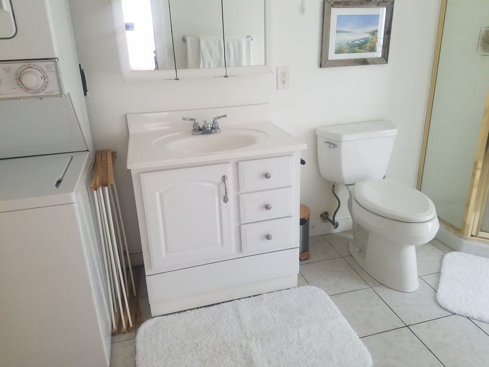 Large bathroom with stand up shower and washer dryer