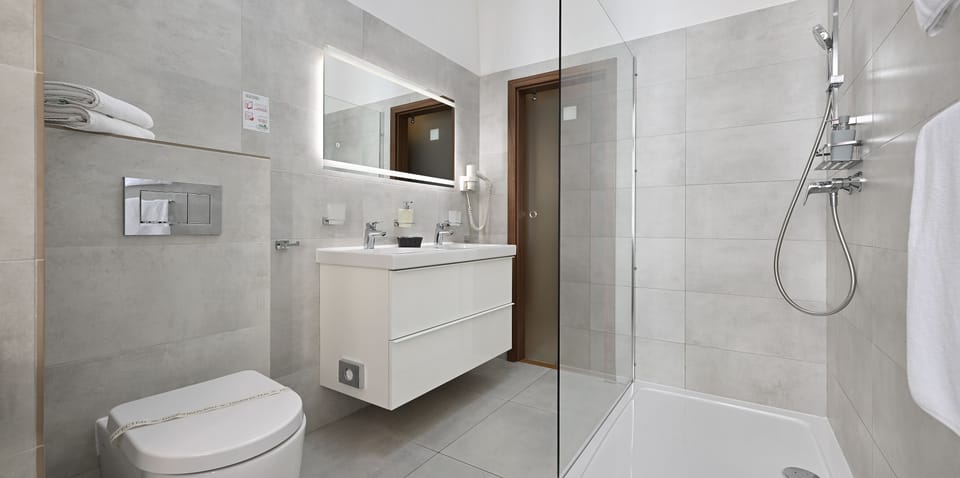 Suite | Bathroom | Free toiletries, hair dryer, towels, toilet paper