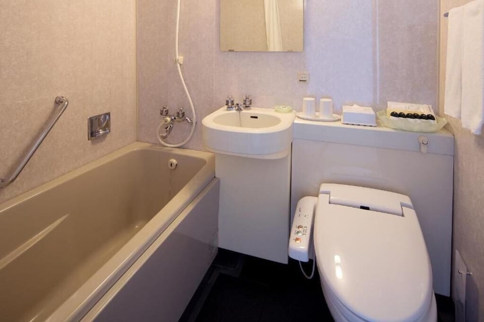 Separate tub and shower, free toiletries, hair dryer, slippers