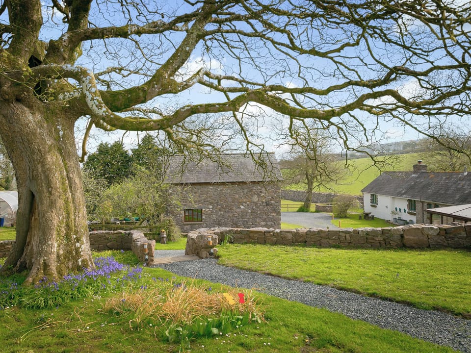 Garden and grounds | Tankey Lake Farm- Teal, Mallard - Tankey Lake Farm, Llangennith, near Swansea
