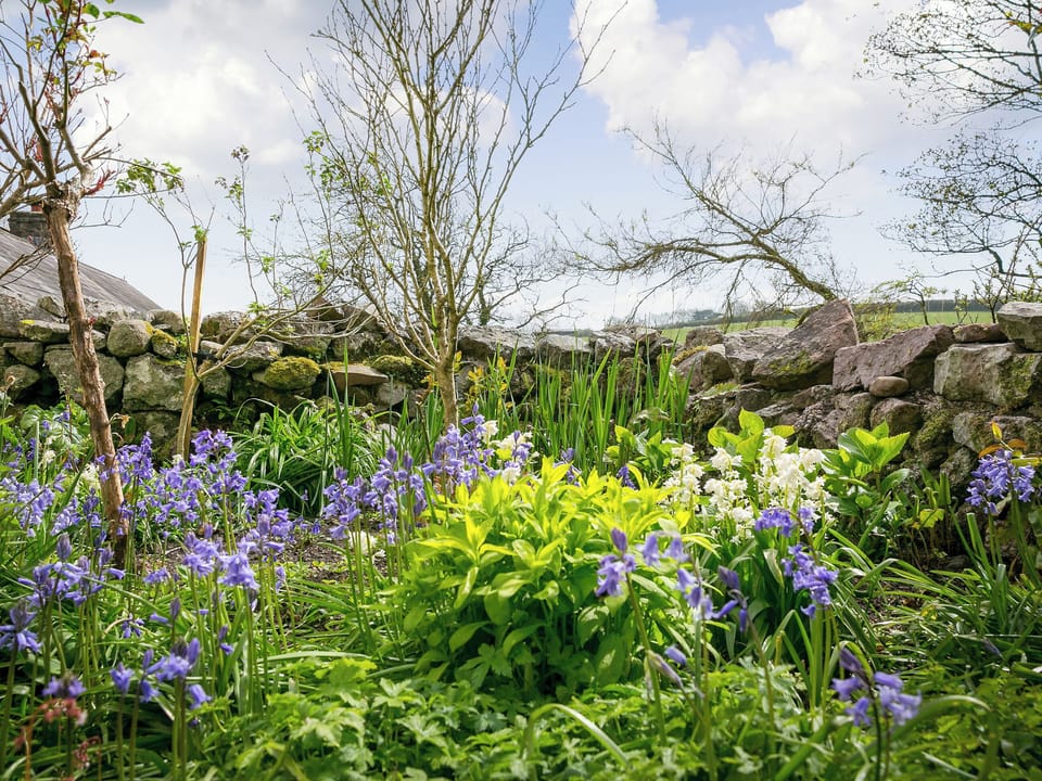 Garden | Tankey Lake Farm- Teal, Mallard - Tankey Lake Farm, Llangennith, near Swansea