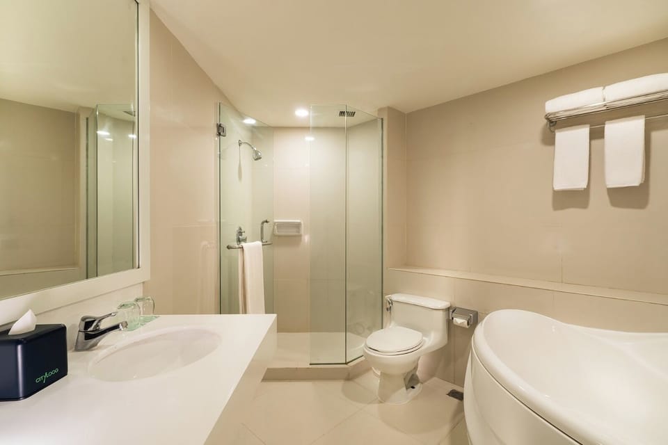 Deluxe Suite Room | Bathroom | Free toiletries, hair dryer, slippers, towels