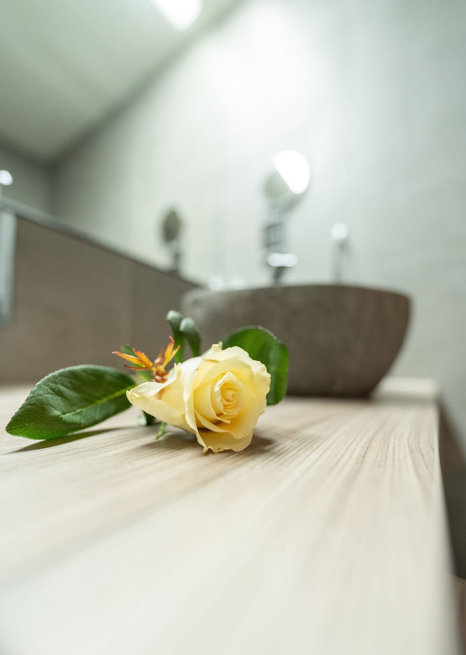 Business Double Room | Desk, iron/ironing board, free WiFi, bed sheets