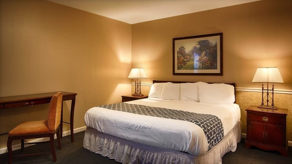 One King Bed, Non-Smoking | Desk, blackout drapes, iron/ironing board (on request)